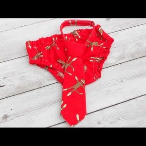 Sock Monkey birthday props